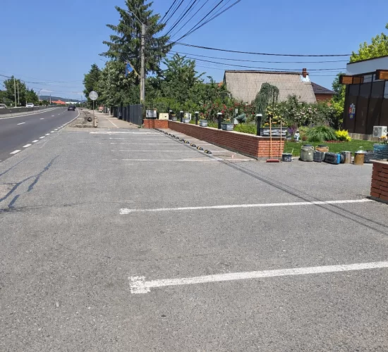 b. before Tratament Conservativ pentru Asfalt Îmbătrânit